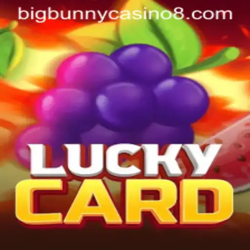 Discover the Excitement of LuckyCard at BigBunny Casino